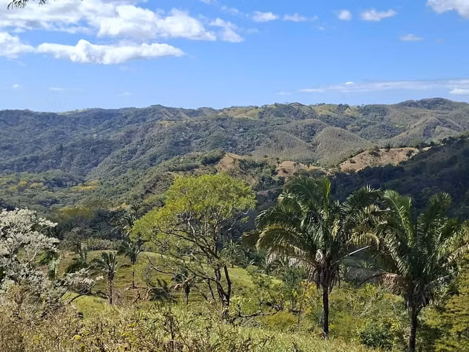 FINCA LAS FLORES NOSARA.199 HECT. TOPOGRAFÍA REGULAR. VISTAS AL OCÉANO