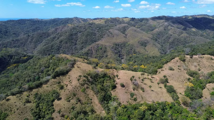 FINCA LAS FLORES NOSARA.199 HECT. TOPOGRAFÍA REGULAR. VISTAS AL OCÉANO