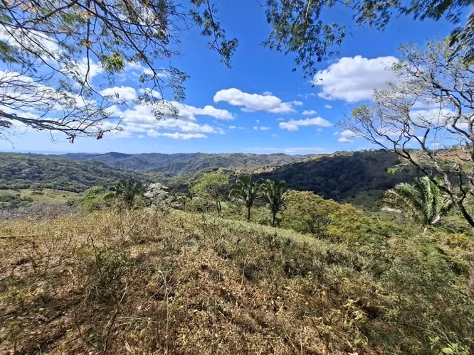 FINCA LAS FLORES NOSARA.199 HECT. TOPOGRAFÍA REGULAR. VISTAS AL OCÉANO