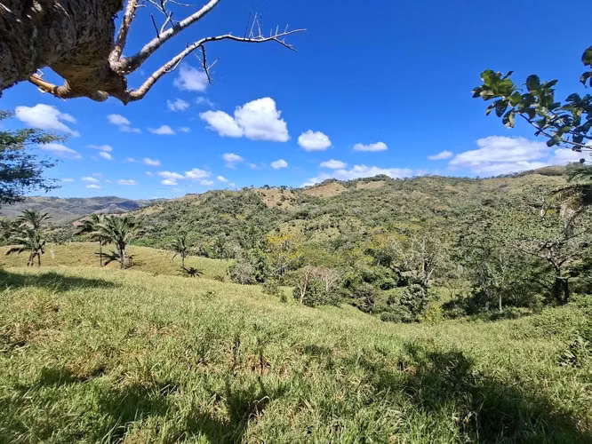 FINCA LAS FLORES NOSARA.199 HECT. TOPOGRAFÍA REGULAR. VISTAS AL OCÉANO