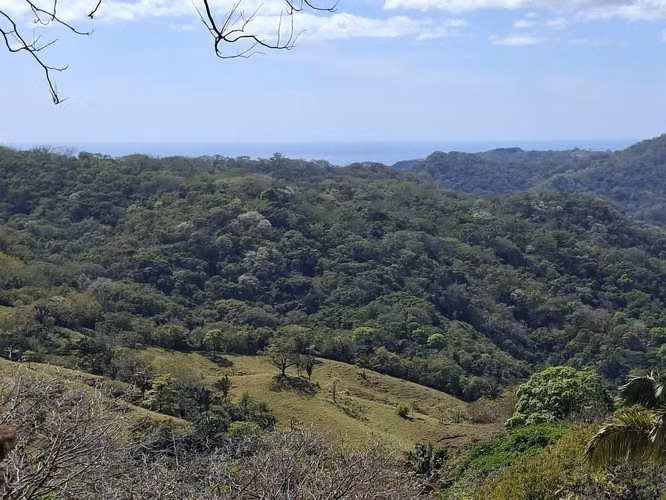 FINCA LAS FLORES NOSARA.199 HECT. TOPOGRAFÍA REGULAR. VISTAS AL OCÉANO