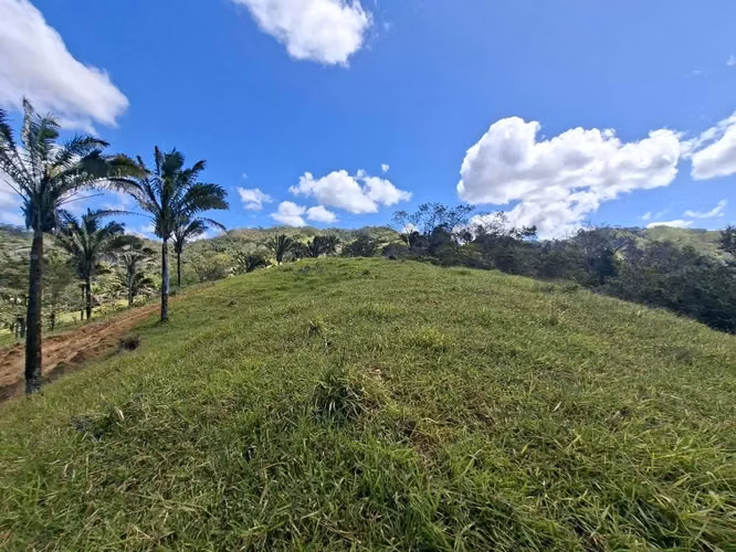 FINCA LAS FLORES NOSARA.199 HECT. TOPOGRAFÍA REGULAR. VISTAS AL OCÉANO
