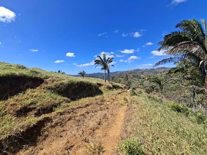 FINCA LAS FLORES NOSARA.199 HECT. TOPOGRAFÍA REGULAR. VISTAS AL OCÉANO