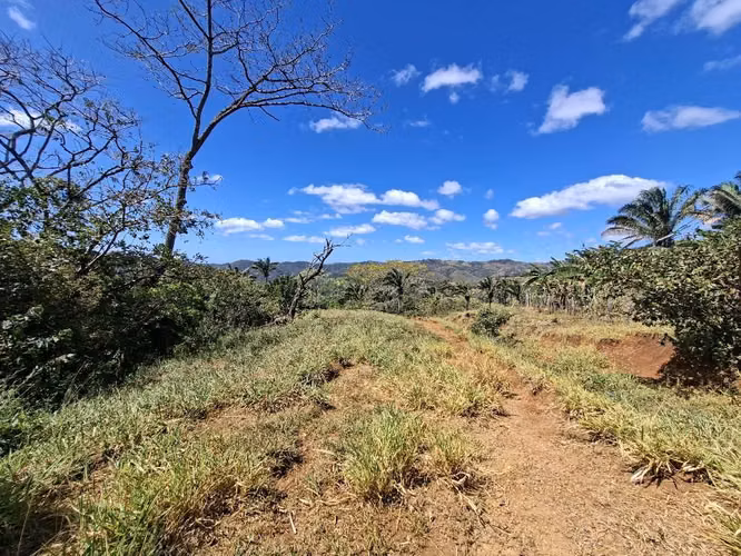 FINCA LAS FLORES NOSARA.199 HECT. TOPOGRAFÍA REGULAR. VISTAS AL OCÉANO