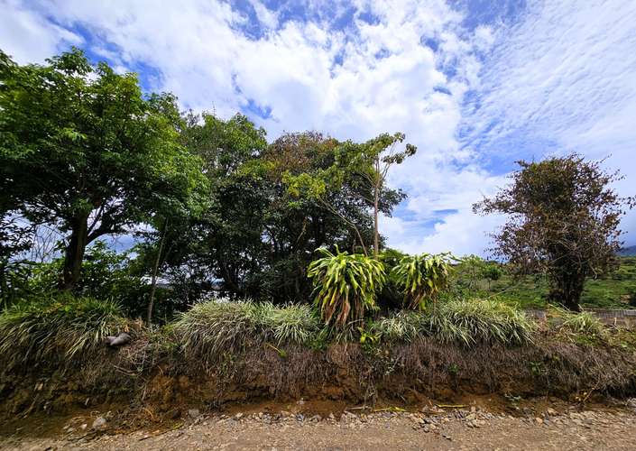 OPORTUNIDAD! Venta de Finca DE 4242 m2 con Acceso Privado (no condominio) en Grecia, Alajuela. - Imagen 10