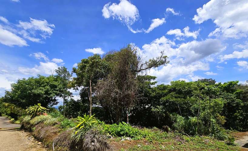 OPORTUNIDAD! Venta de Finca DE 4242 m2 con Acceso Privado (no condominio) en Grecia, Alajuela. - Imagen 6