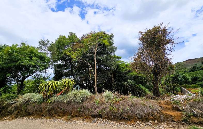 OPORTUNIDAD! Venta de Finca DE 4242 m2 con Acceso Privado (no condominio) en Grecia, Alajuela. - Imagen 8