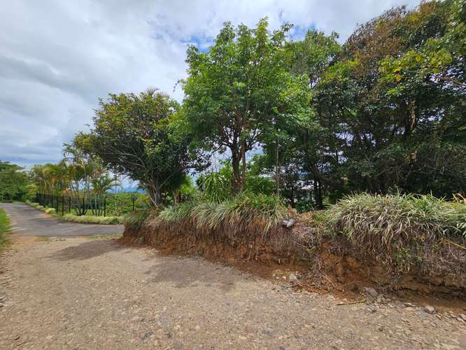OPORTUNIDAD! Venta de Finca DE 4242 m2 con Acceso Privado (no condominio) en Grecia, Alajuela. - Imagen 9