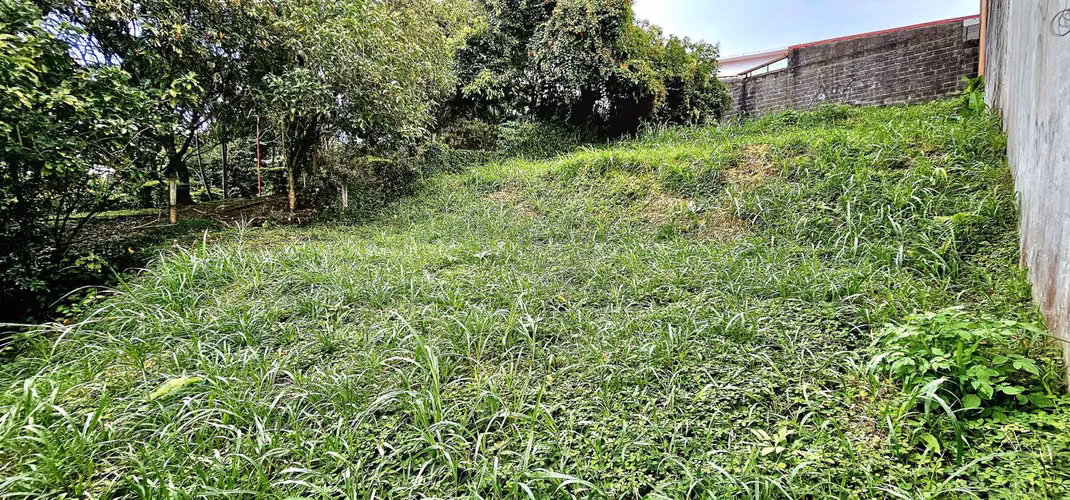 Venta de Lote en Curridabat A 500 de Plaza del SOL USO MIXTO - Imagen 3