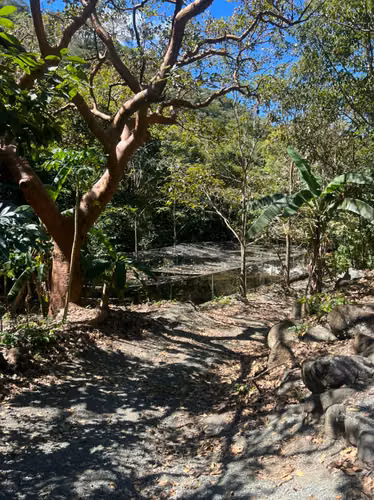 Casa en finca para renta o venta. en Palmichal de Acosta. MM