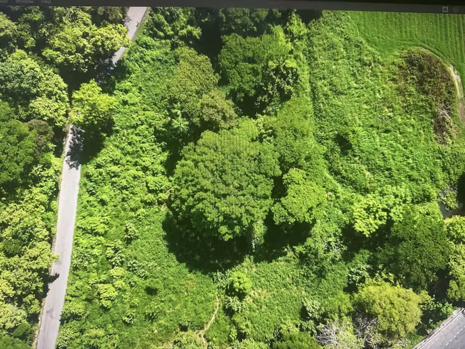 Lote 6,832 m2 con Uso de Suelo Mixto en Caldera, contiguo a Ruta 27 - Imagen 10