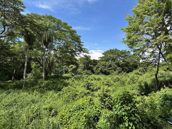 Lote 6,832 m2 con Uso de Suelo Mixto en Caldera, contiguo a Ruta 27 - Imagen 5