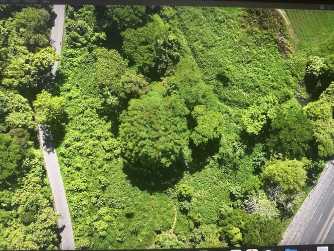Lote 6,832 m2 con Uso de Suelo Mixto en Caldera, contiguo a Ruta 27 - Imagen 11