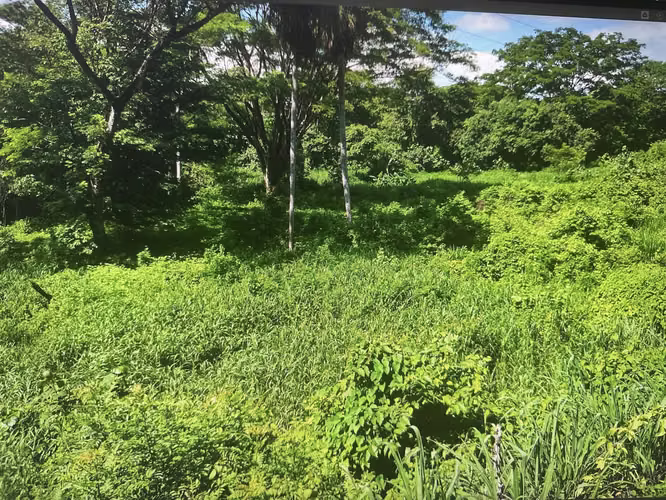 Lote 6,832 m2 con Uso de Suelo Mixto en Caldera, contiguo a Ruta 27 - Imagen 4