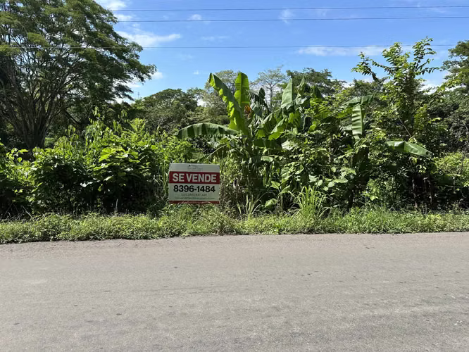 Lote 6,832 m2 con Uso de Suelo Mixto en Caldera, contiguo a Ruta 27 - Imagen 7