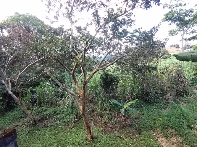 AMPLIA CASA EN VENTA, CONCEPCIÓN, SAN RAMÓN, ALAJUELA