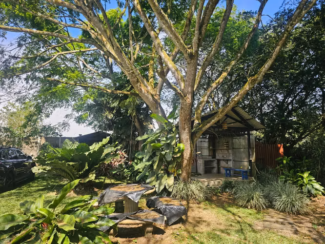 LOTE EN PALMITOS DE NARANJO- ALAJUELA. POTENCIAL DE INVERSION.