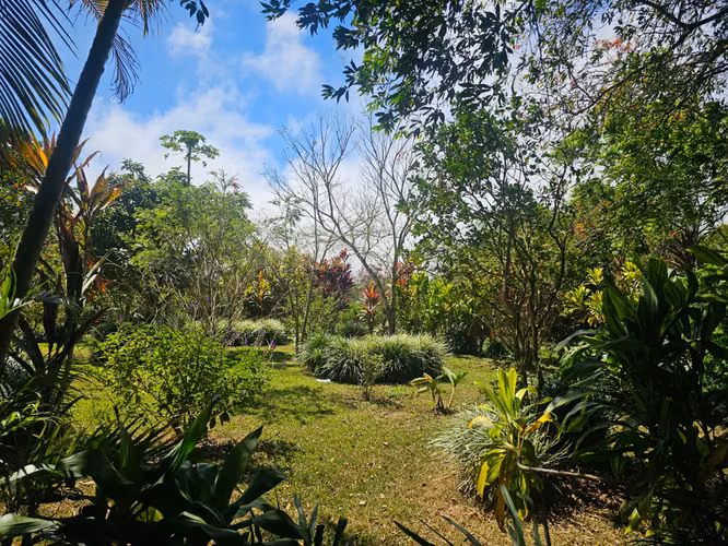 LOTE EN PALMITOS DE NARANJO- ALAJUELA. POTENCIAL DE INVERSION.