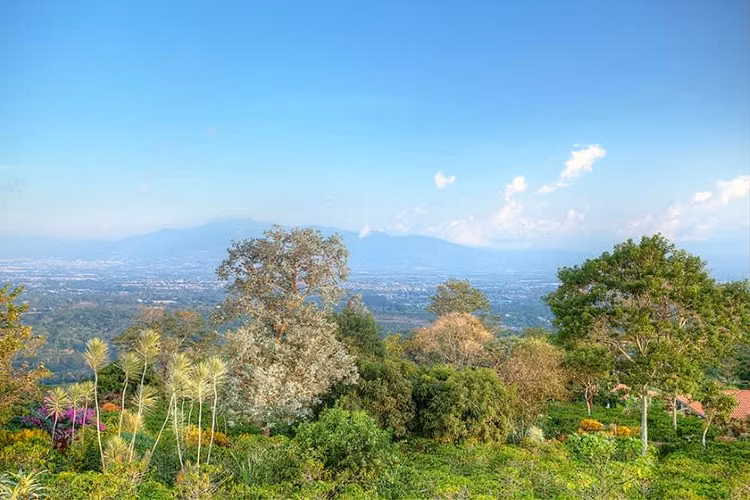 Pura Vida Gardens: Quinta de Lujo en Finca de Café – 4.5 Hectáreas y Vistas de 180° - Imagen 15
