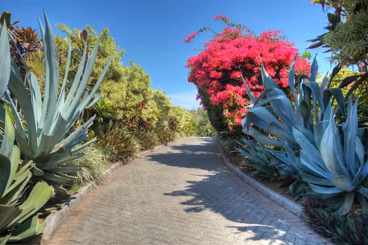 Pura Vida Gardens: Quinta de Lujo en Finca de Café – 4.5 Hectáreas y Vistas de 180° - Imagen 8