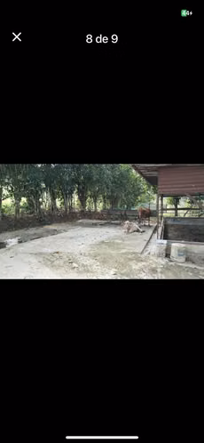 Quinta 5200M2 con casa Turrialba tres equis