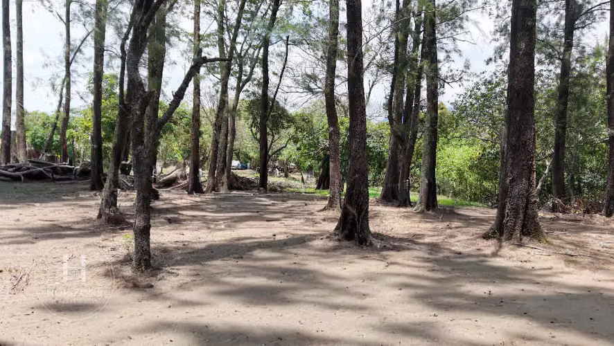 Terreno para Desarrollo 5.000 m² Alta Densidad en Escazú nja1217jb - Imagen 4