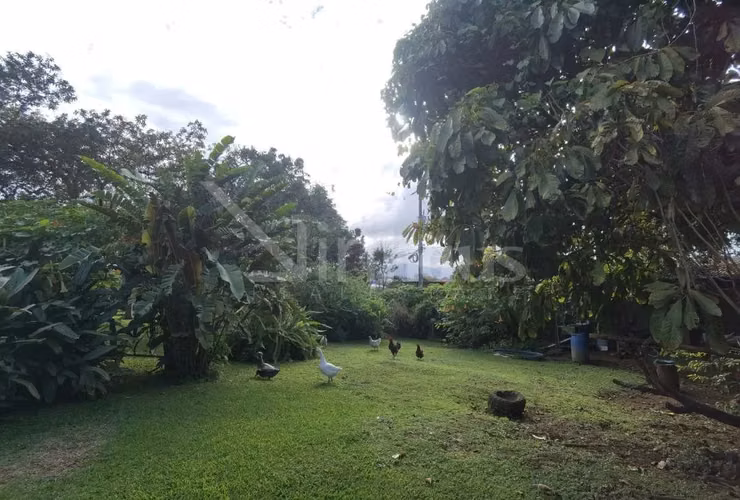 id 41675 Venta de terreno para desarrollo - La Unión - Concepción - Imagen 4