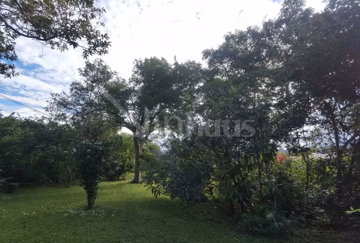 id 41675 Venta de terreno para desarrollo - La Unión - Concepción - Imagen 6