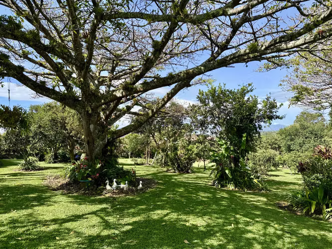 Quinta de 14,000 m² en San Isidro de Heredia – Oportunidad de Inversión con Ingresos Activos