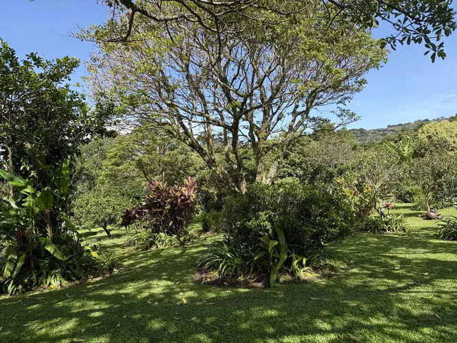 Quinta de 14,000 m² en San Isidro de Heredia – Oportunidad de Inversión con Ingresos Activos