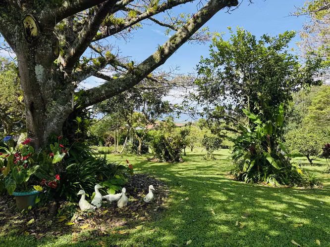 Quinta de 14,000 m² en San Isidro de Heredia – Oportunidad de Inversión con Ingresos Activos