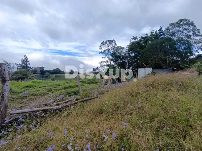 Venta de lote en Mata de Plátano, Goicoechea; listo para desarrollo inmobiliario. - Imagen 9
