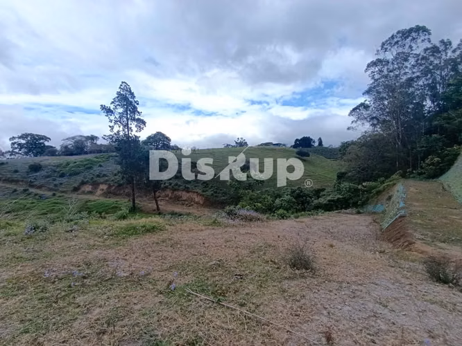 Venta de lote en Mata de Plátano, Goicoechea; listo para desarrollo inmobiliario. - Imagen 6