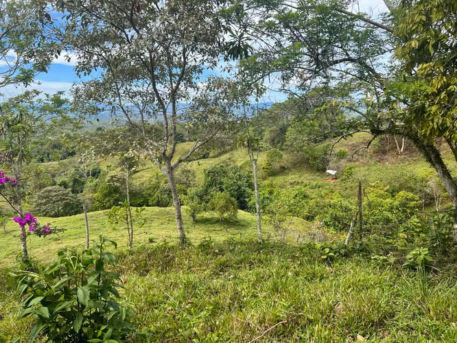 SE VENDE FINCA EN MIRAVALLES DE PÉREZ ZELEDÓN