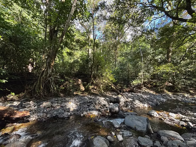 Terreno en venta en Turrubares 5,011 m² con río | Ideal Airbnb o casa de descanso - Imagen 11