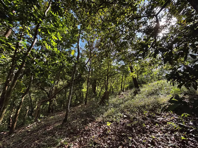 Terreno en venta en Turrubares 5,011 m² con río | Ideal Airbnb o casa de descanso - Imagen 13
