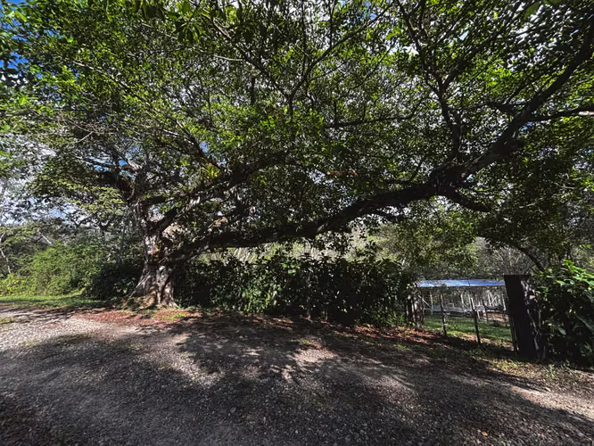 Terreno en venta en Turrubares 5,011 m² con río | Ideal Airbnb o casa de descanso - Imagen 12