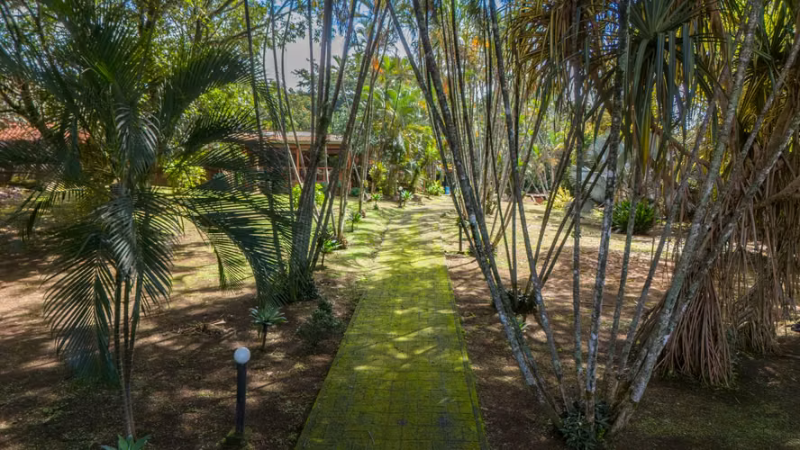 Oportunidad de Inversión y Desarrollo Estratégico – Barrio San José de Alajuela