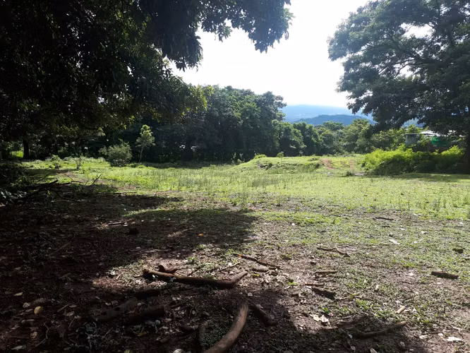 Lote 8.500 m² en San Juan de Dios p/28 casas - Imagen 2