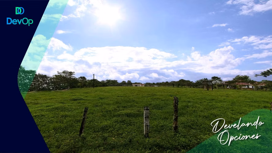 SE VENDEN TERRENOS EN SAN CARLOS