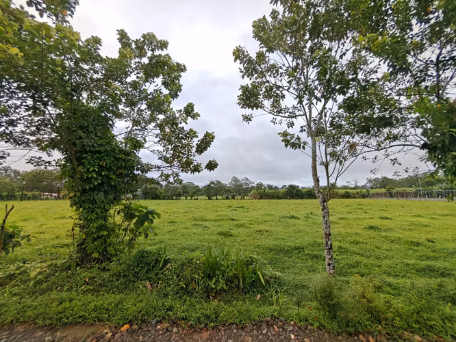 SE VENDEN TERRENOS EN SAN CARLOS