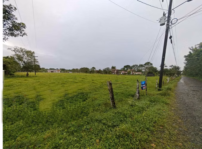 SE VENDEN TERRENOS EN SAN CARLOS