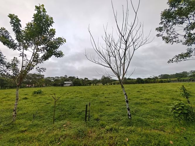 SE VENDEN TERRENOS EN SAN CARLOS