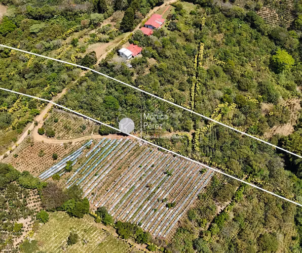 TERRENO EN VENTA SAN PEDRO SARCHÍ ALAJUELA