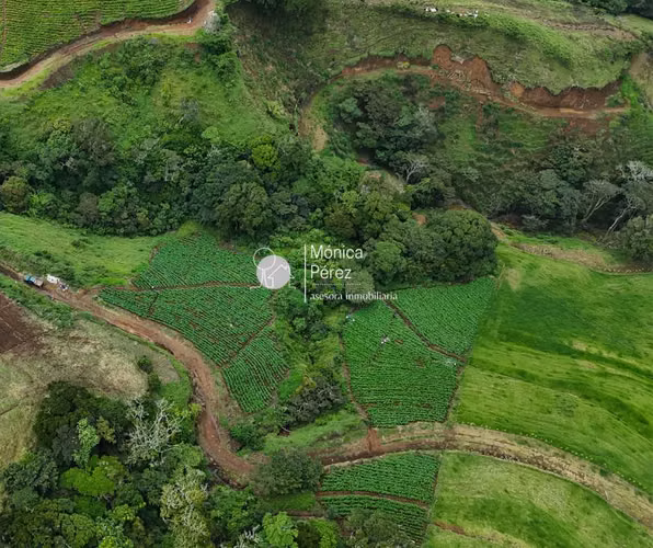 FINCA EN VENTA LA PALMITA - NARANJO-ALAJUELA