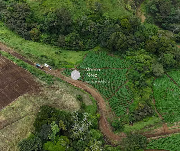 FINCA EN VENTA LA PALMITA - NARANJO-ALAJUELA
