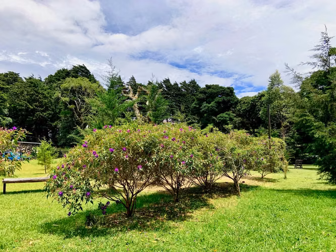 Santuario privado en venta en El Tirol, Heredia - Imagen 11