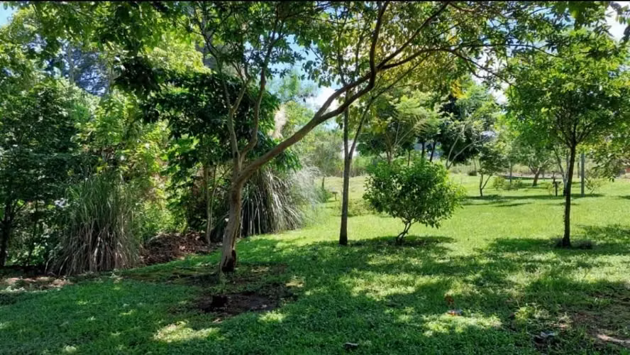 Lote para apartamentos en residencial cerrado en La Unión (AS) - Imagen 8