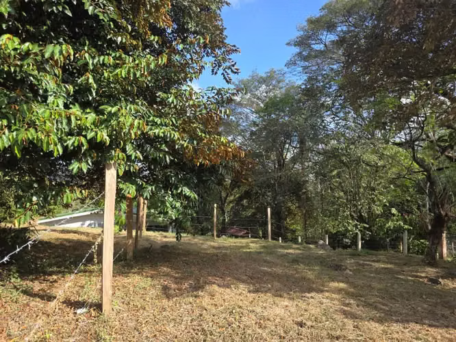 Solo 98.000/m² | Lote Comercial 969 m² | 66.60 m Frente Ruta 3 | San Mateo - Imagen 13