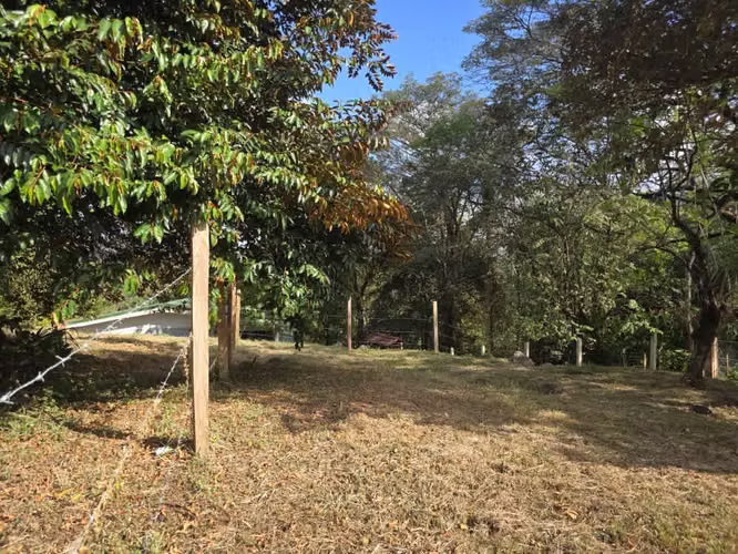 Solo 98.000/m² | Lote Comercial 969 m² | 66.60 m Frente Ruta 3 | San Mateo - Imagen 6